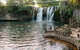 The Original Day Tour To Paronella Park, Lake Barrine And Millaa Millaa Falls - thumb 9