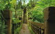 The Original Day Tour To Paronella Park, Lake Barrine And Millaa Millaa Falls - thumb 1
