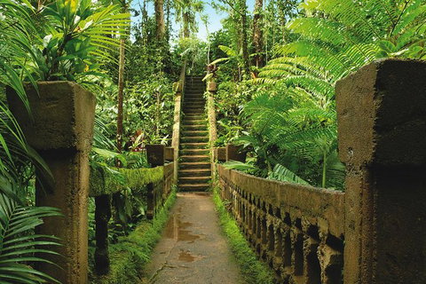 The Original Day Tour To Paronella Park, Lake Barrine And Millaa Millaa Falls - Accommodation Fremantle 1