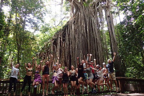 Atherton Tablelands Waterfalls Tour From Cairns - Accommodation Fremantle 8