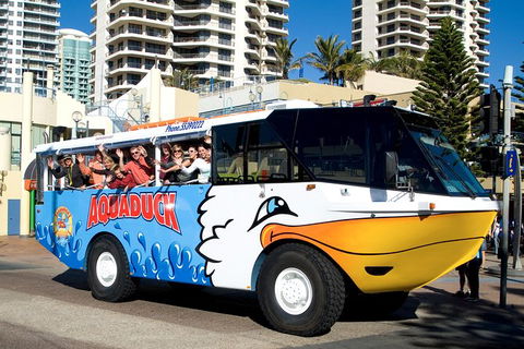 Aquaduck Gold Coast 1 Hour City And River Tour - Accommodation Fremantle 5