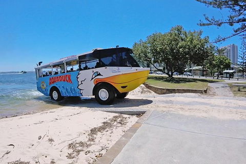 Aquaduck Gold Coast 1 Hour City And River Tour - Accommodation Fremantle 1