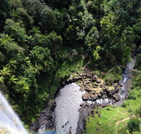 Full-day Springbrook National Park Tour from the Gold Coast - Accommodation Fremantle