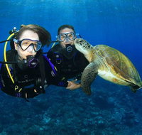 Gold Coast Try-Scuba Experience at Wave Break Island - Accommodation Fremantle