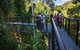 The Best Of Tamborine Mountain From The Gold Coast - thumb 2