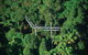 The Best Of Tamborine Mountain From The Gold Coast - thumb 3