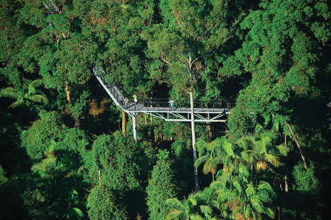 The Best Of Tamborine Mountain From The Gold Coast - Accommodation Fremantle 3