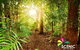 The Best Of Tamborine Mountain From The Gold Coast - thumb 1