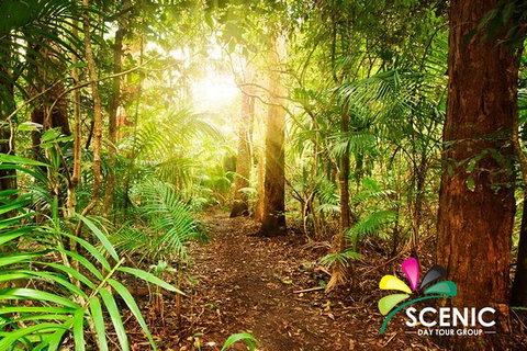 The Best Of Tamborine Mountain From The Gold Coast - Accommodation Fremantle 1