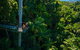 The Best Of Tamborine Mountain From The Gold Coast - thumb 0