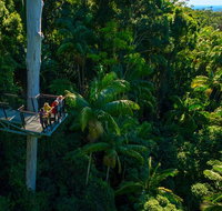 The Best of Tamborine Mountain from the Gold Coast - Accommodation Fremantle
