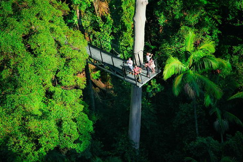 The Best Of Tamborine Mountain From The Gold Coast - Accommodation Fremantle 4