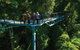 The Best Of Tamborine Mountain From The Gold Coast - thumb 7