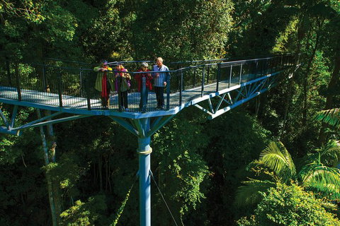 The Best Of Tamborine Mountain From The Gold Coast - Accommodation Fremantle 7