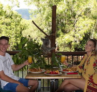 Hartley's Crocodile Adventures Entry Ticket and Breakfast with the Koalas - Accommodation Fremantle