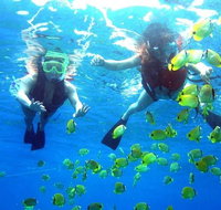 Guided Snorkel with Fish Tour at Wavebreak Island Gold Coast - Accommodation Fremantle