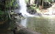The Gold Experience:Private Day Tour In Lamington National Park Or Mt Tambourine - thumb 0