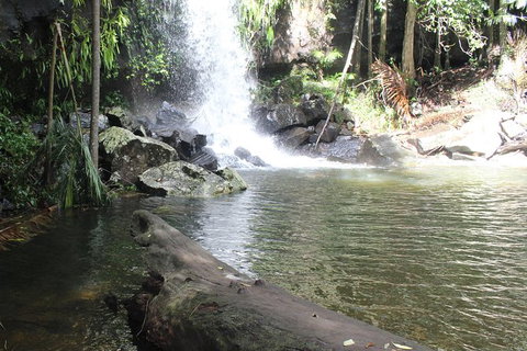 The Gold Experience:Private Day Tour In Lamington National Park Or Mt Tambourine - Accommodation Fremantle 0