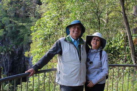 The Gold Experience:Private Day Tour In Lamington National Park Or Mt Tambourine - Accommodation Fremantle 1