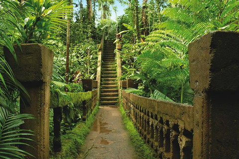 The Original Day Tour To Paronella Park, Lake Barrine And Millaa Millaa Falls - Accommodation Fremantle 9