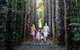 The Original Day Tour To Paronella Park, Lake Barrine And Millaa Millaa Falls - thumb 6