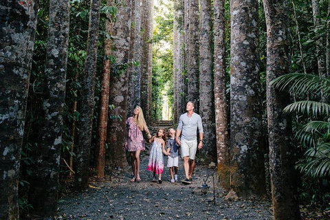 The Original Day Tour To Paronella Park, Lake Barrine And Millaa Millaa Falls - Accommodation Fremantle 6