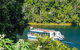 The Original Day Tour To Paronella Park, Lake Barrine And Millaa Millaa Falls - thumb 7