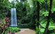 The Original Day Tour To Paronella Park, Lake Barrine And Millaa Millaa Falls - thumb 2