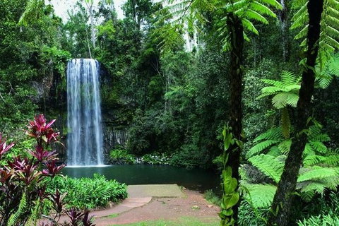 The Original Day Tour To Paronella Park, Lake Barrine And Millaa Millaa Falls - Accommodation Fremantle 2