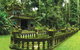 The Original Day Tour To Paronella Park, Lake Barrine And Millaa Millaa Falls - thumb 1
