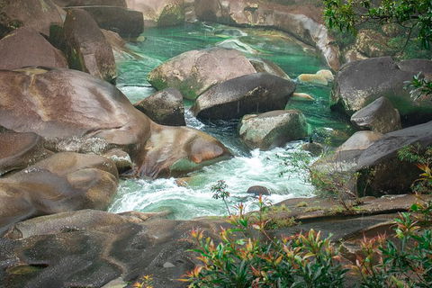 Wooroonooran National Park Rainforest And Wildlife Day Trip From Cairns - Accommodation Fremantle 3
