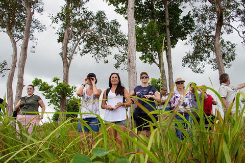 Wooroonooran National Park Rainforest And Wildlife Day Trip From Cairns - Accommodation Fremantle 6