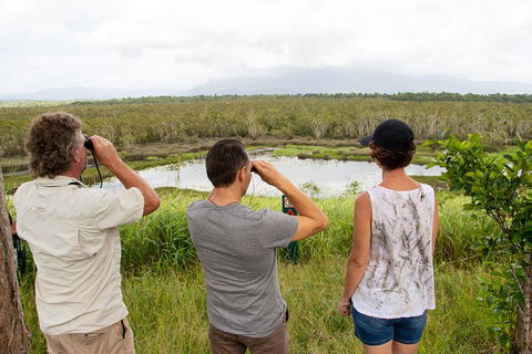 Wooroonooran National Park Rainforest And Wildlife Day Trip From Cairns - Accommodation Fremantle 4