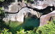 Wooroonooran National Park Rainforest And Wildlife Day Trip From Cairns - thumb 5