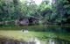 Wooroonooran National Park Rainforest And Wildlife Day Trip From Cairns - thumb 8