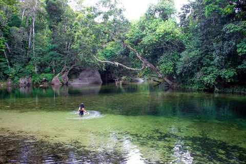 Wooroonooran National Park Rainforest And Wildlife Day Trip From Cairns - Accommodation Fremantle 8