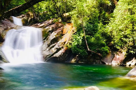 Wooroonooran National Park Rainforest And Wildlife Day Trip From Cairns - Accommodation Fremantle 0