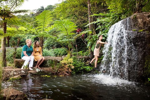 Maleny Botanic Gardens Bird Aviary Experience Ticket - Accommodation Fremantle 7