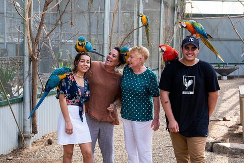 Maleny Botanic Gardens Bird Aviary Experience Ticket - Accommodation Fremantle 5