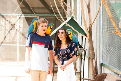 Maleny Botanic Gardens Bird Aviary Experience Ticket - Accommodation Fremantle 8