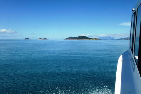 Fozzy\'s 3 Hour, 3 Island Tour - Accommodation Fremantle 7
