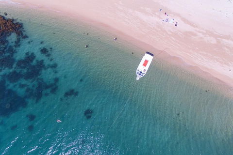 Fozzy\'s 3 Hour, 3 Island Tour - Accommodation Fremantle 0