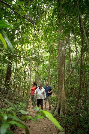 Mossman Gorge Dreamtime Tour - Accommodation Fremantle 2
