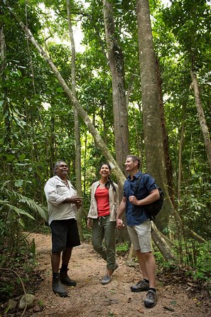Mossman Gorge Dreamtime Tour - Accommodation Fremantle 1