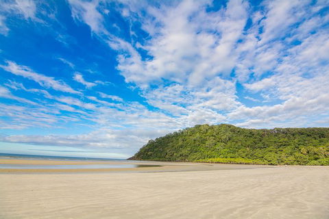 Daintree Afternoon Nocturnal Nature And Wildlife Tour - Accommodation Fremantle 8