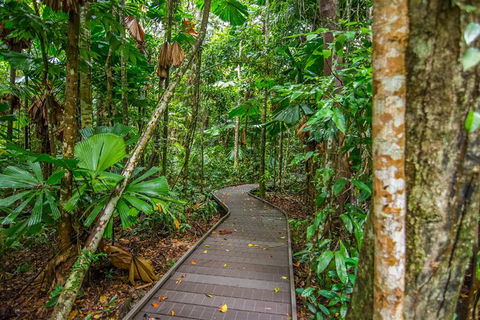 Daintree Afternoon Nocturnal Nature And Wildlife Tour - Accommodation Fremantle 9