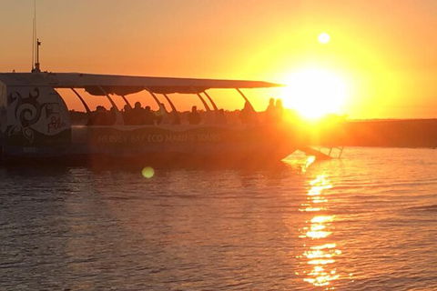 Milbi Sunset Cruise With Local Aboriginal Guide - Accommodation Fremantle 3