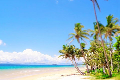 Airport Transfer - Cairns Airport To Mission Beach - Accommodation Fremantle 1