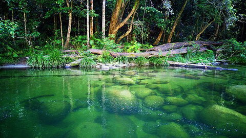 Cairns Adventure Package- 4 Tours In 3 Days! - Accommodation Fremantle 6