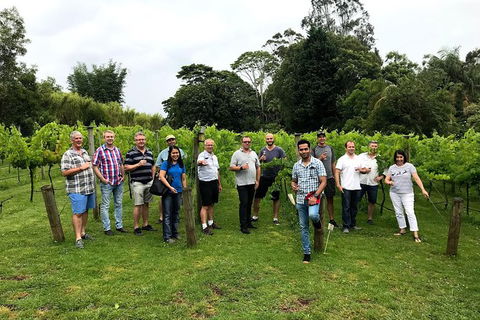 Mt Tamborine Winery Tour - Local Pickup - Accommodation Fremantle 3